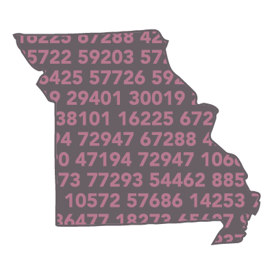 Income By Zip Code List: One State