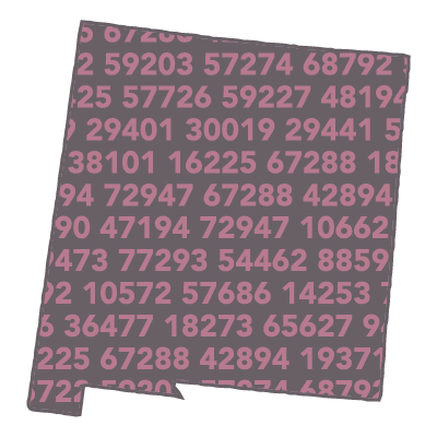 Income By Zip Code List: One State