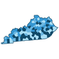 Demographics by County: 1 State
