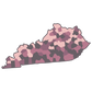 Map - Income By Zip Code: One State