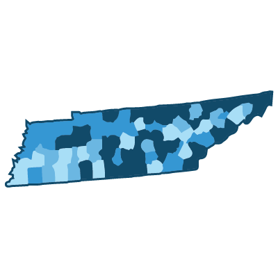 Demographics by County: 1 State